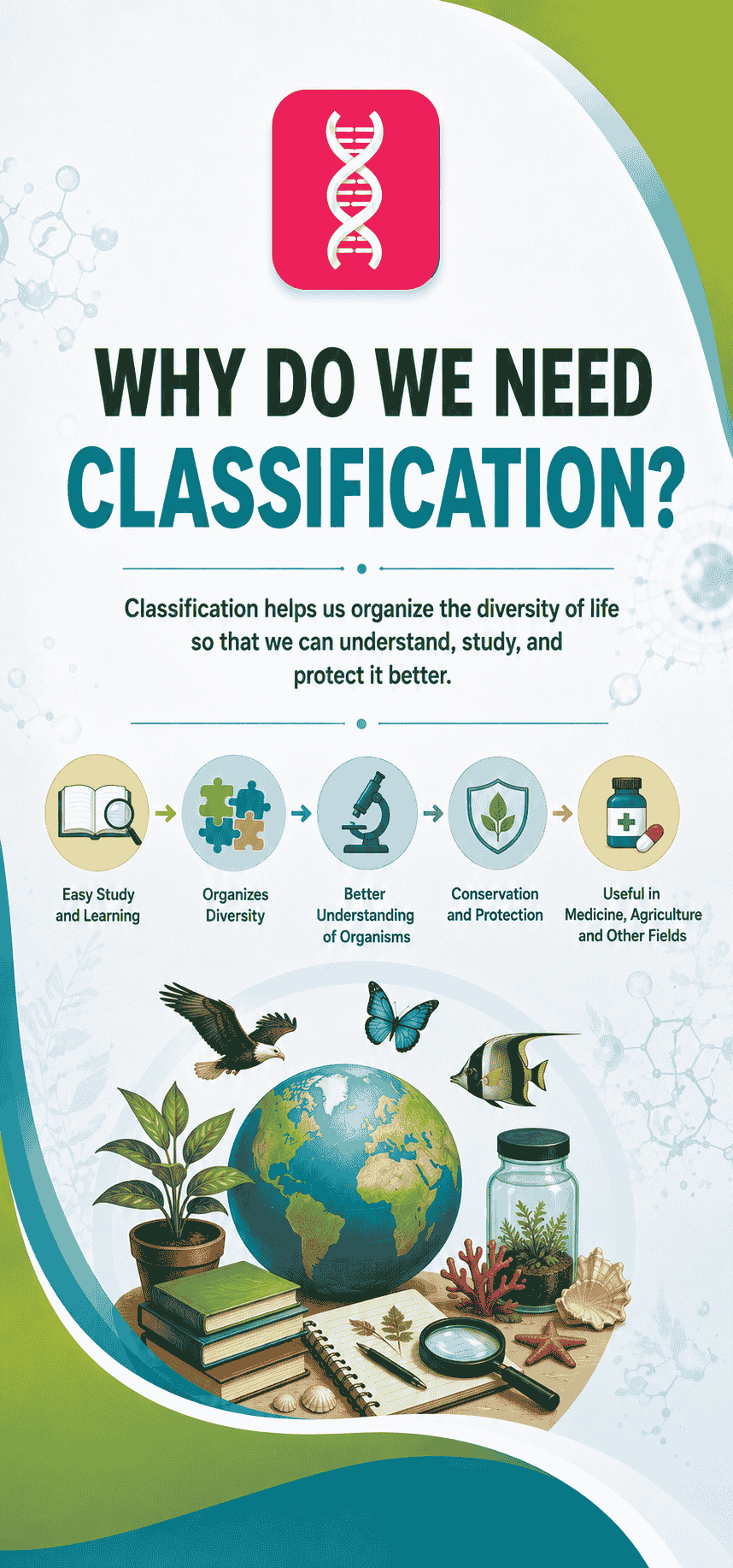Why Do We Need Classification thumbnail