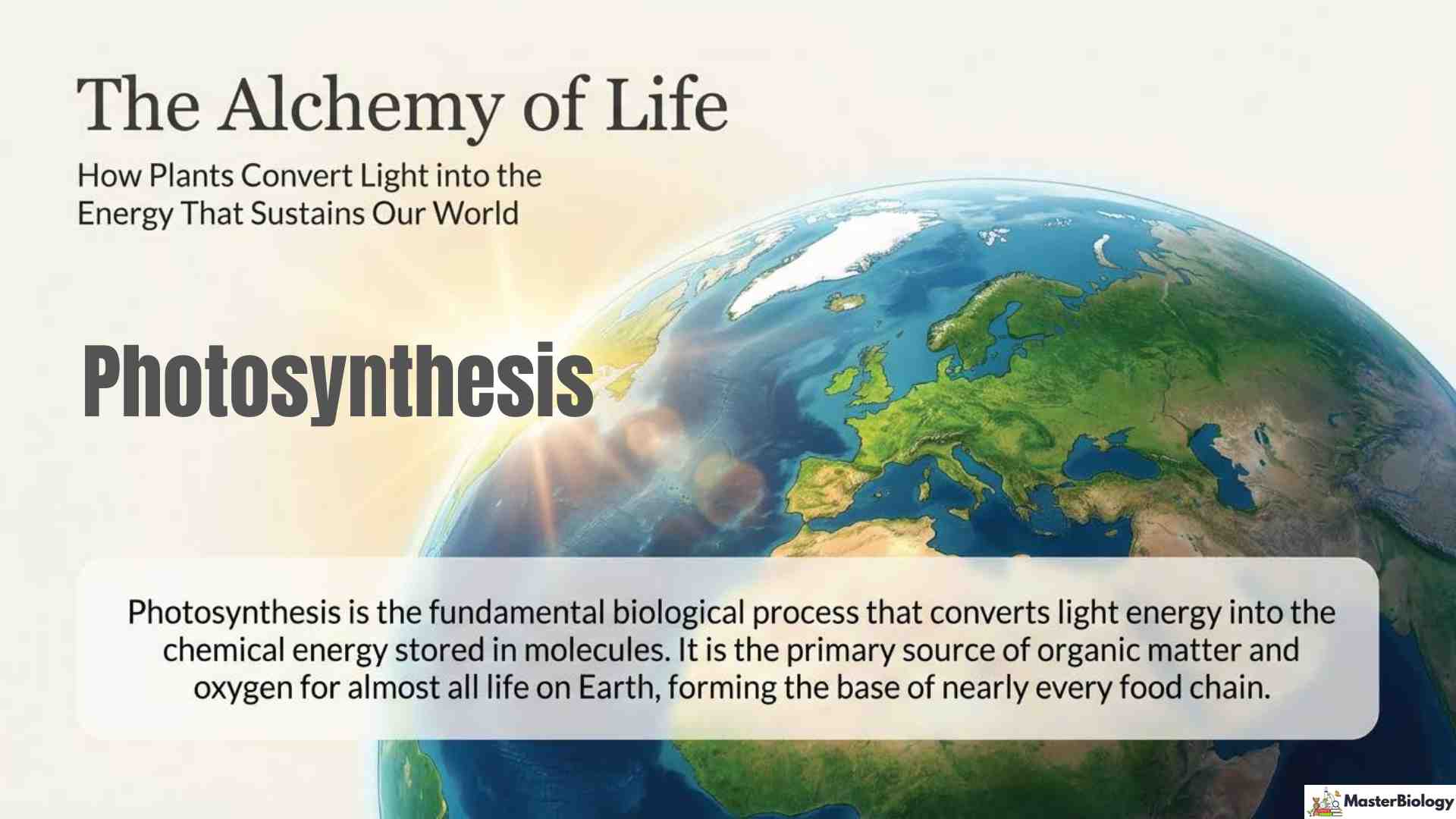 Photosynthesis