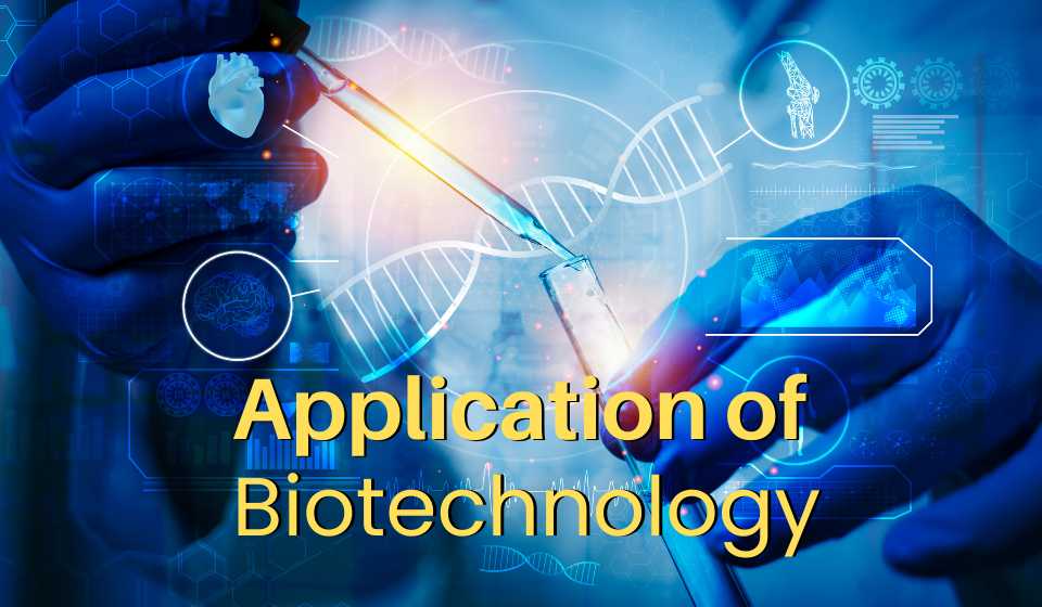 Application of Biotechnology
