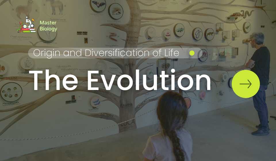 Evolution: The Origin and Diversification of Life