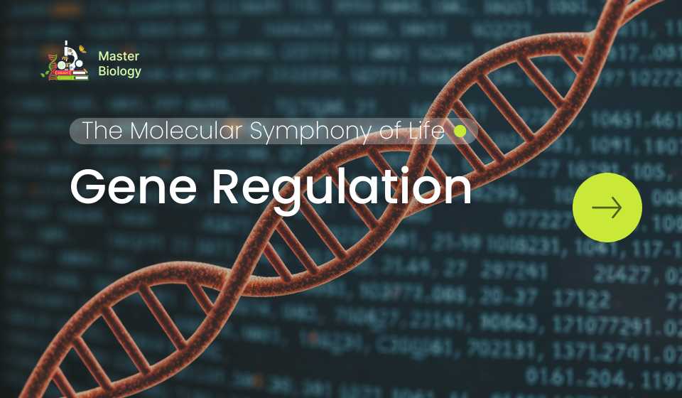 Gene Regulation