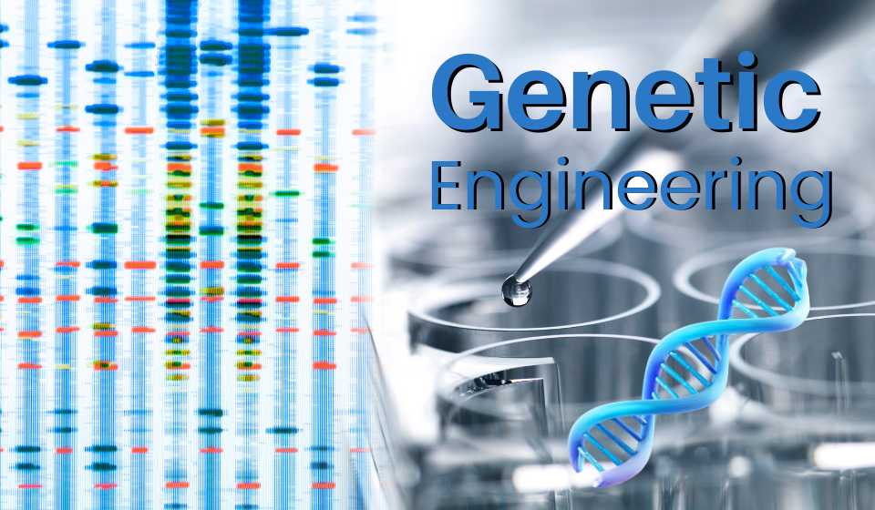 Genetic Engineering