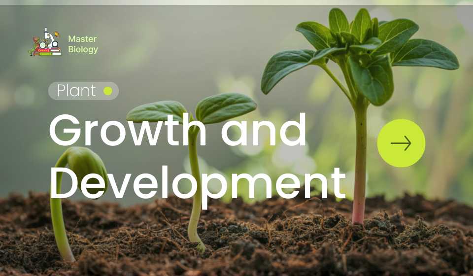 Plant Growth and Development
