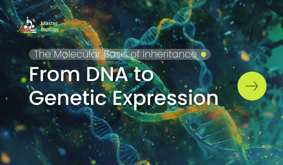 The Molecular Basis of Inheritance