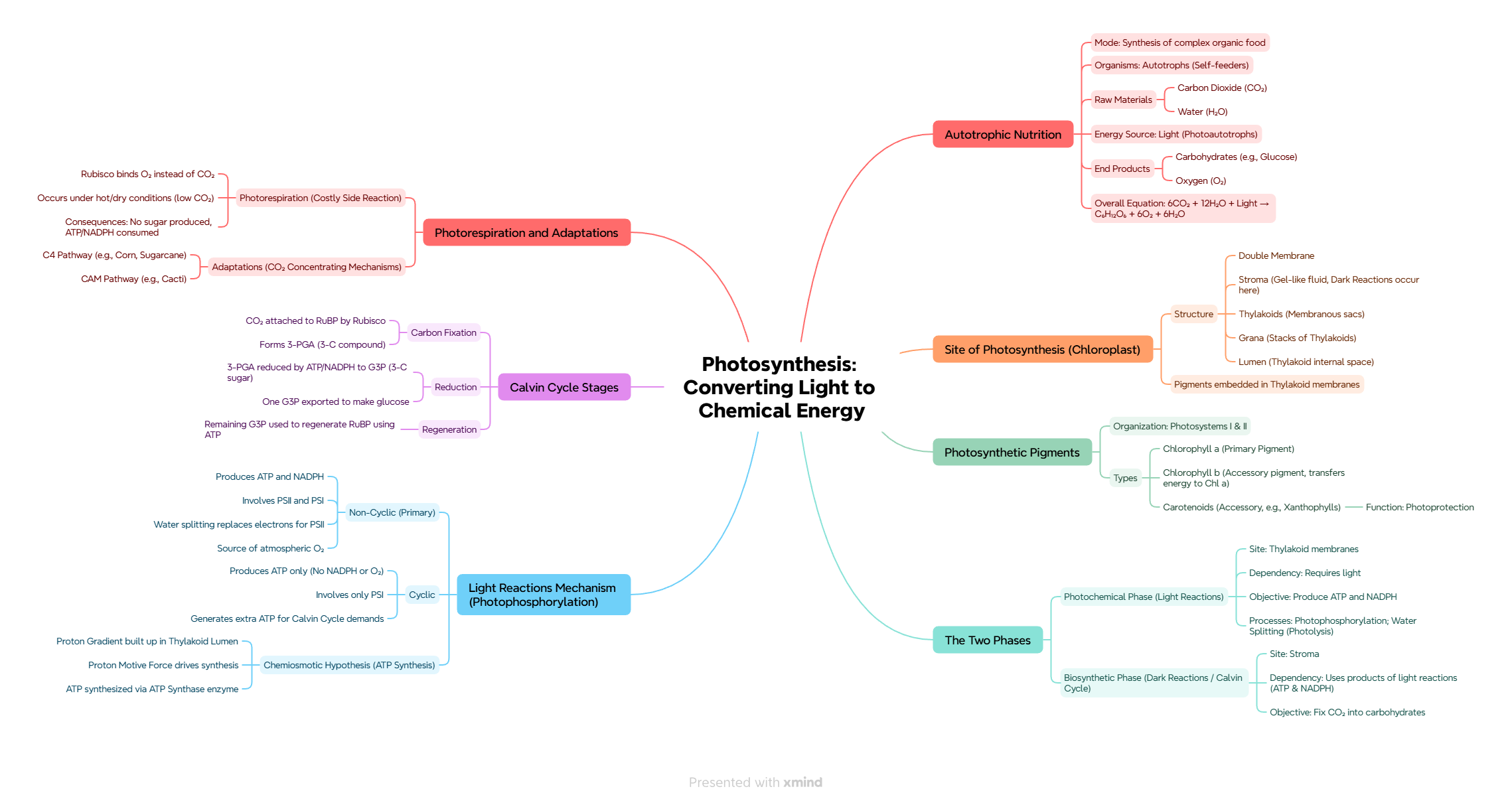 Mind Map of Photosynthesis