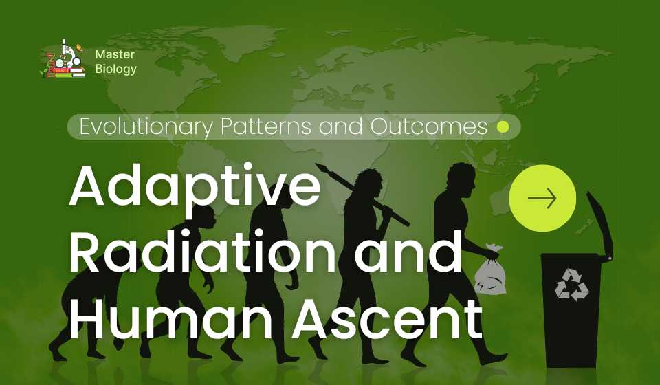 Adaptive Radiation and Human Ascent