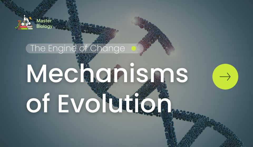 Mechanisms of Evolution