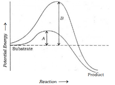 Reaction Graph