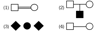 Pedigree Symbols