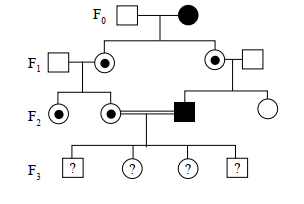 Pedigree Chart