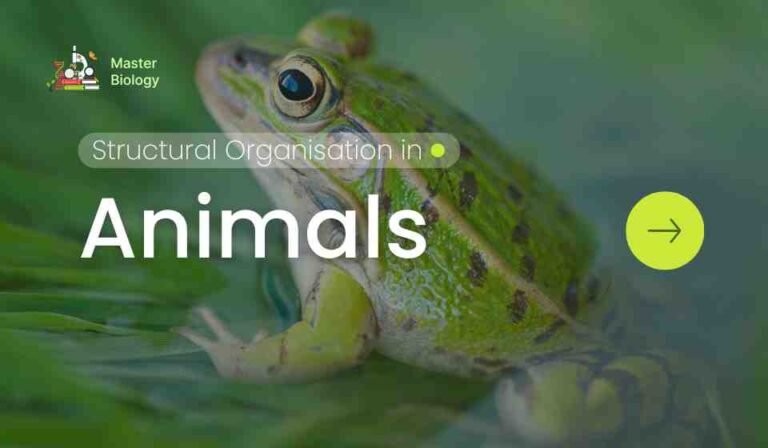 Structural Organisation in Animals - Master Biology