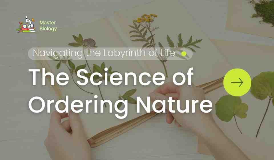 The Science of Ordering Nature