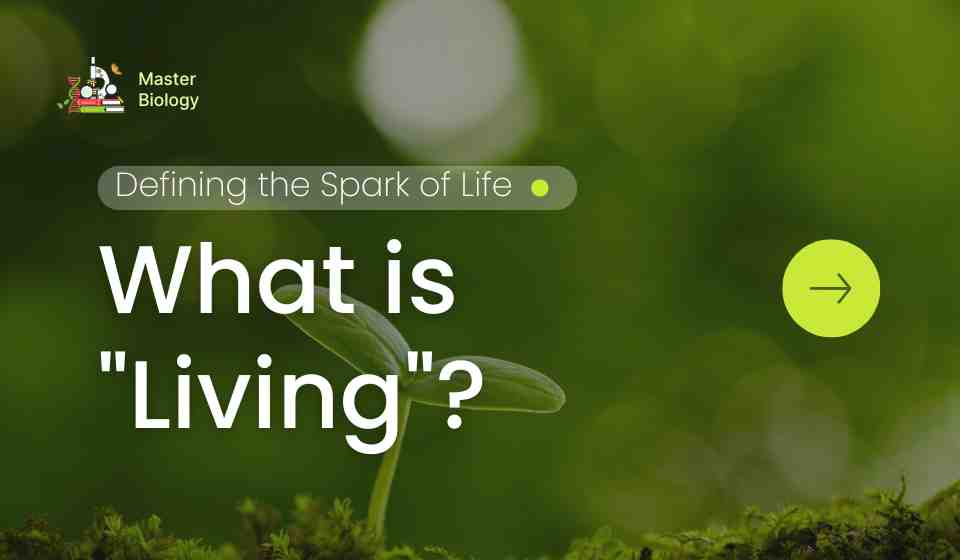 What is "Living"?