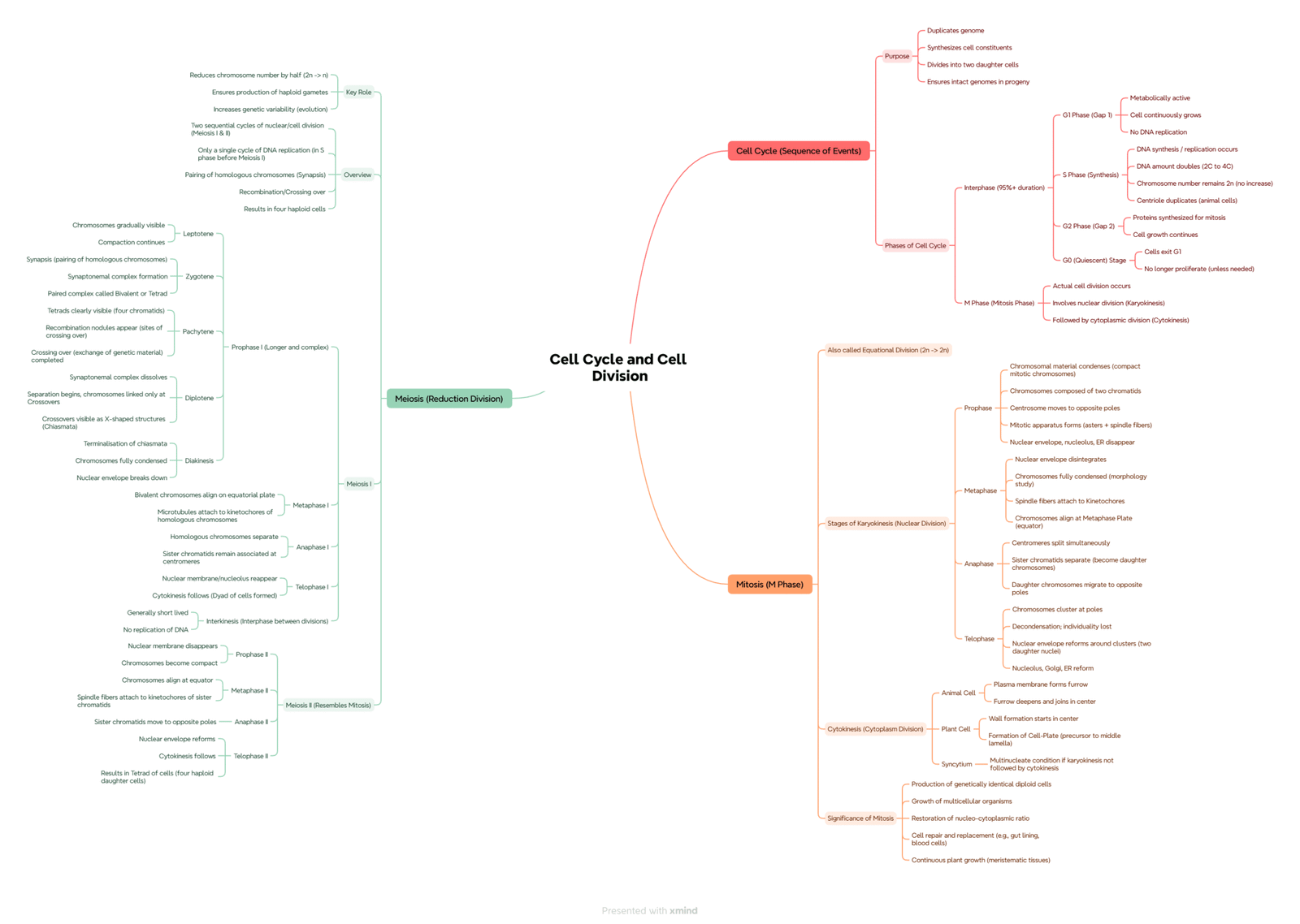 NCERT Biology Mind Maps Class 11 & 12 for NEET & Boards
