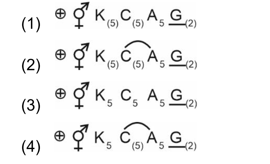 Floral formula options
