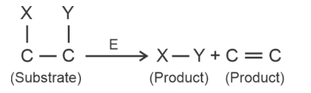 Enzyme class reaction