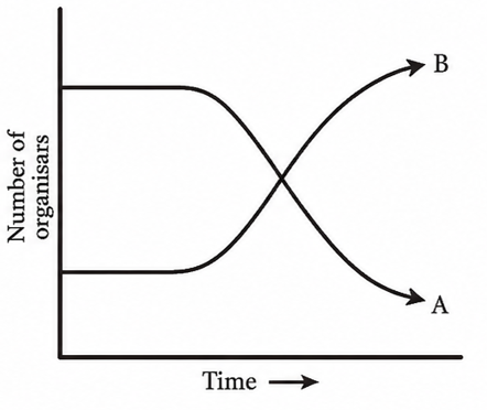 Population graph of herbivores A and B