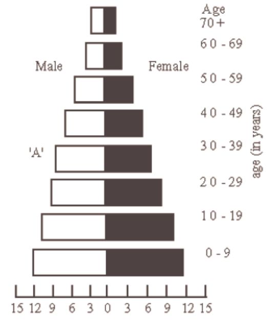 Age-sex pyramid A