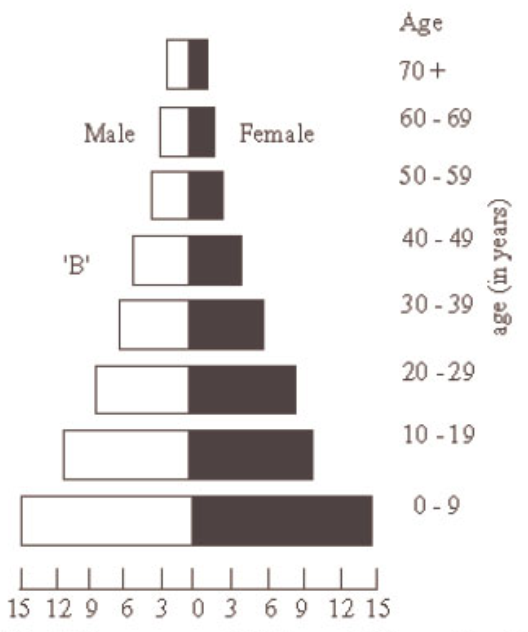 Age-sex pyramid B