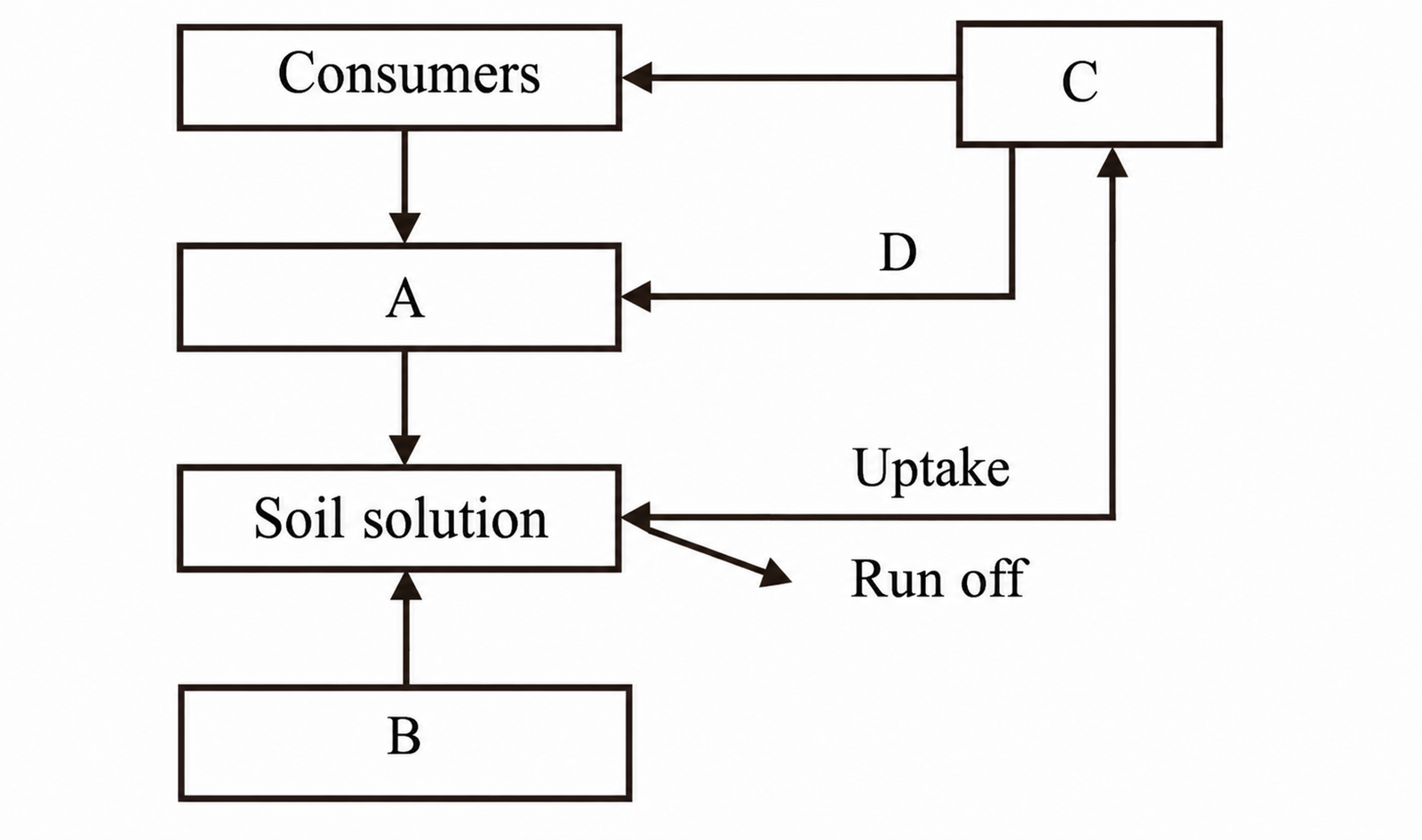 Phosphorus Cycle Diagram