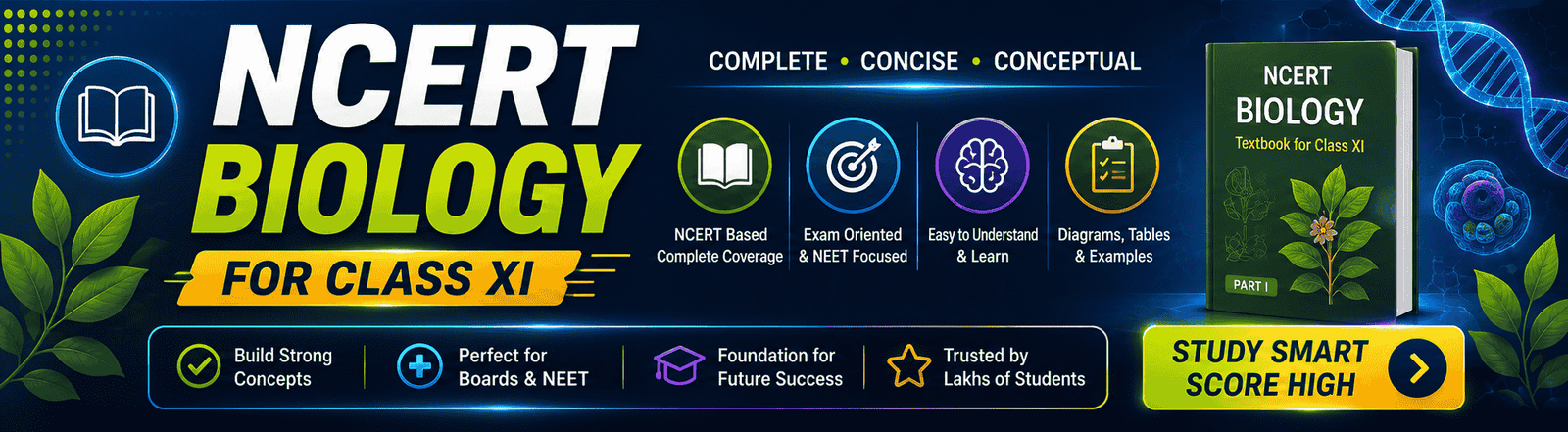 NCERT Biology for Class XI