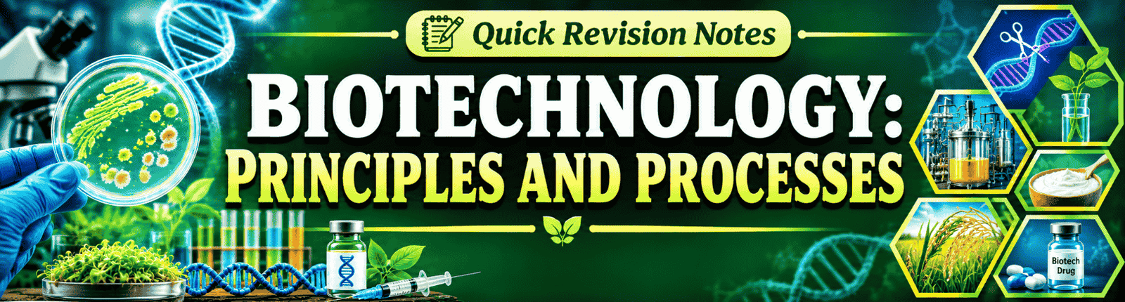 Biotechnology Principles and Processes quick revision notes