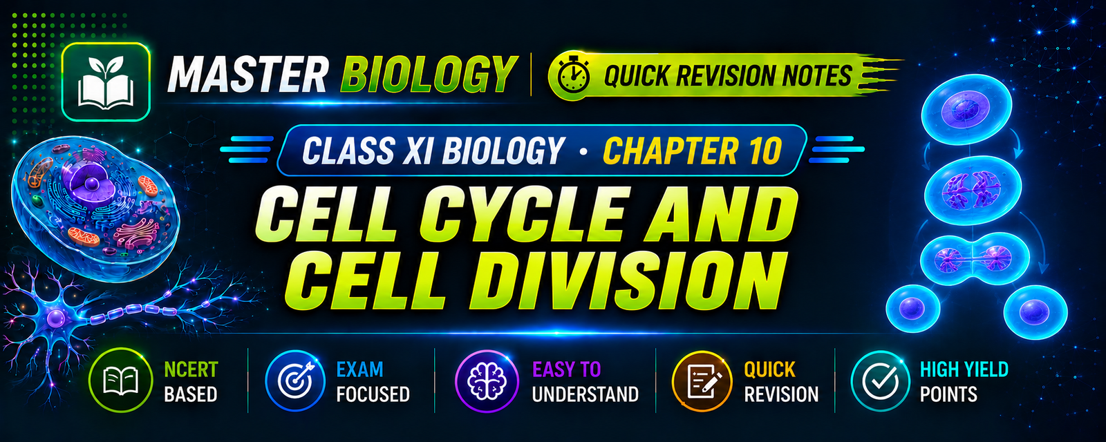 Cell Cycle and Cell Division