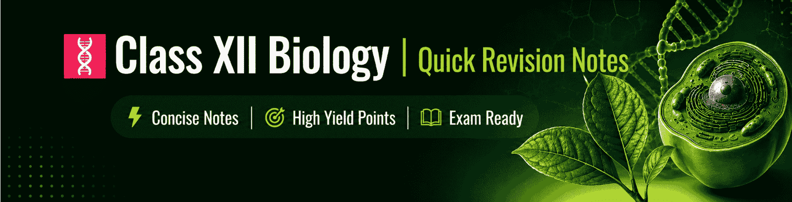 Class XII Biology | Quick Revision Notes