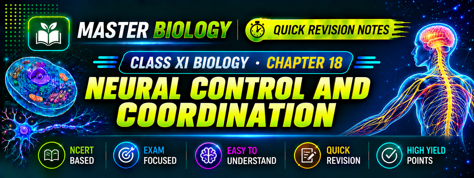 Neural Control and Coordination