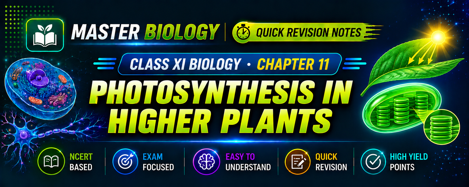 Photosynthesis in Higher Plants