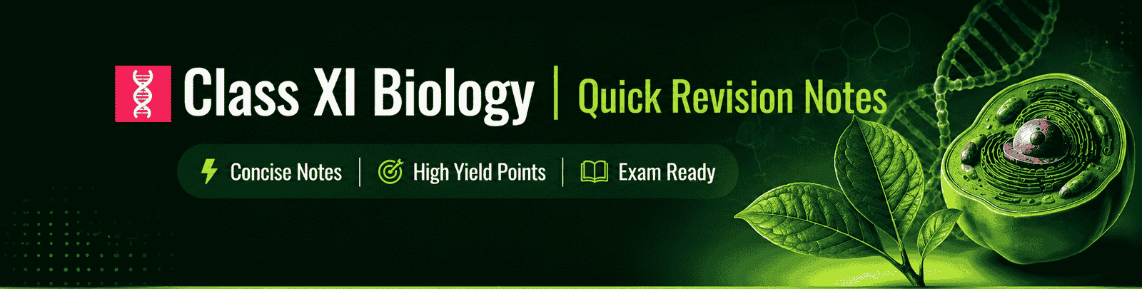 Class XI Biology | Quick Revision Notes